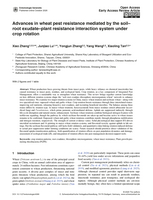 Image de la premiere page de: Advances in wheat pest resistance mediated by the soil–root exudate–plant resistance interaction system under crop rotation
